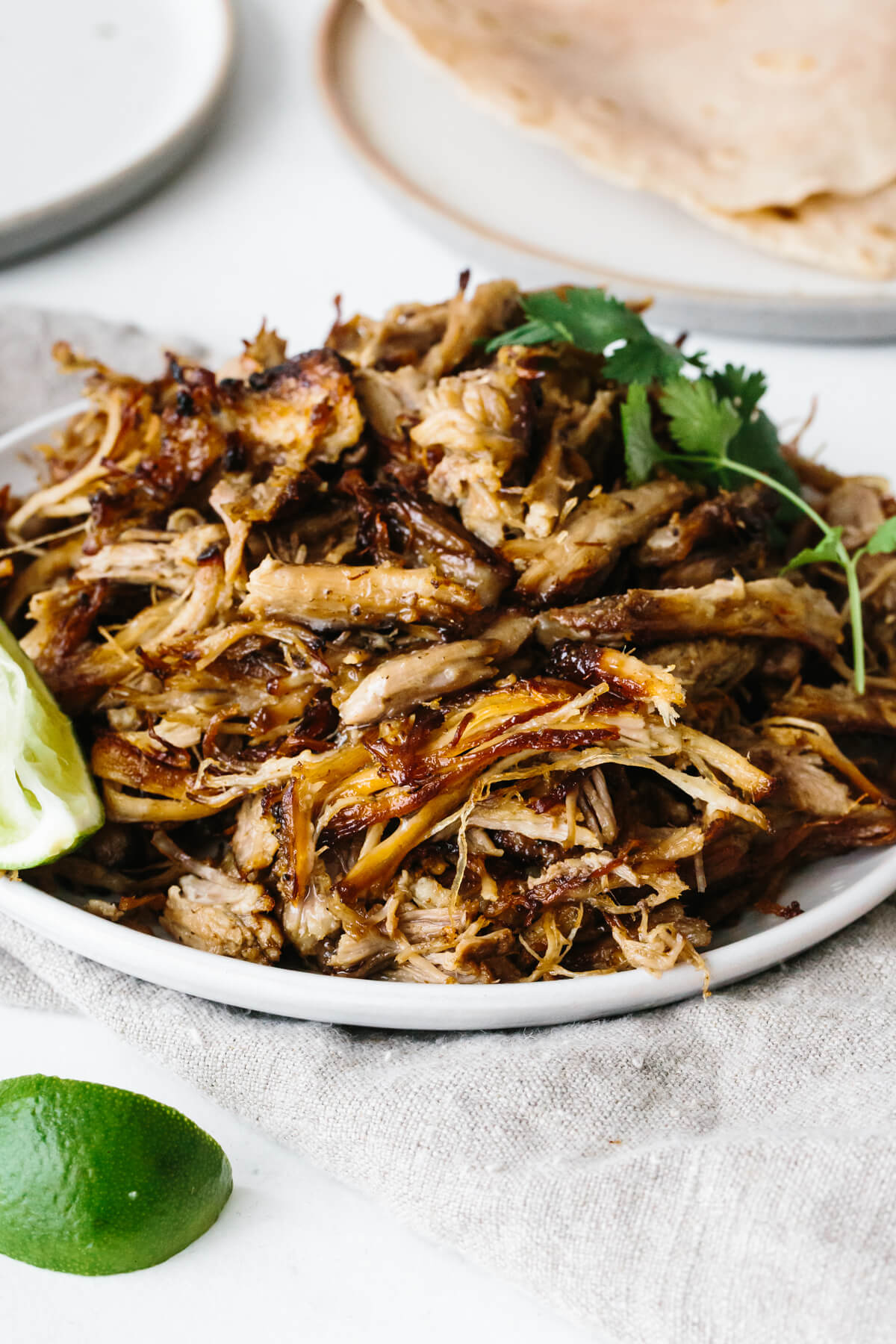 A pile of carnitas on a serving plate.
