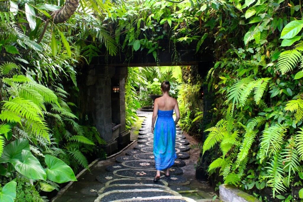 bali wellness retreat